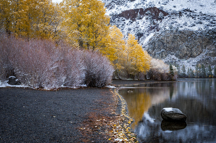 Fall and Winter at Silver Lake Photograph by Cat Connor