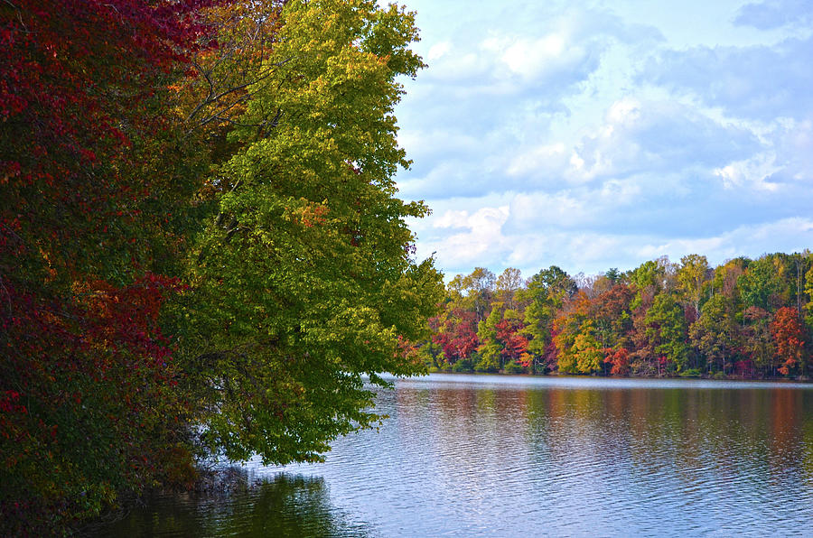 Fall Around The Lake Photograph by Sandi OReilly