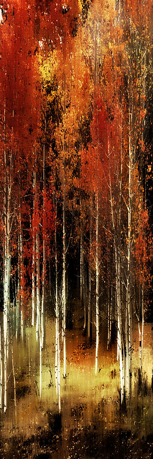 Tree Photograph - Fall Aspens by Barbara D Richards