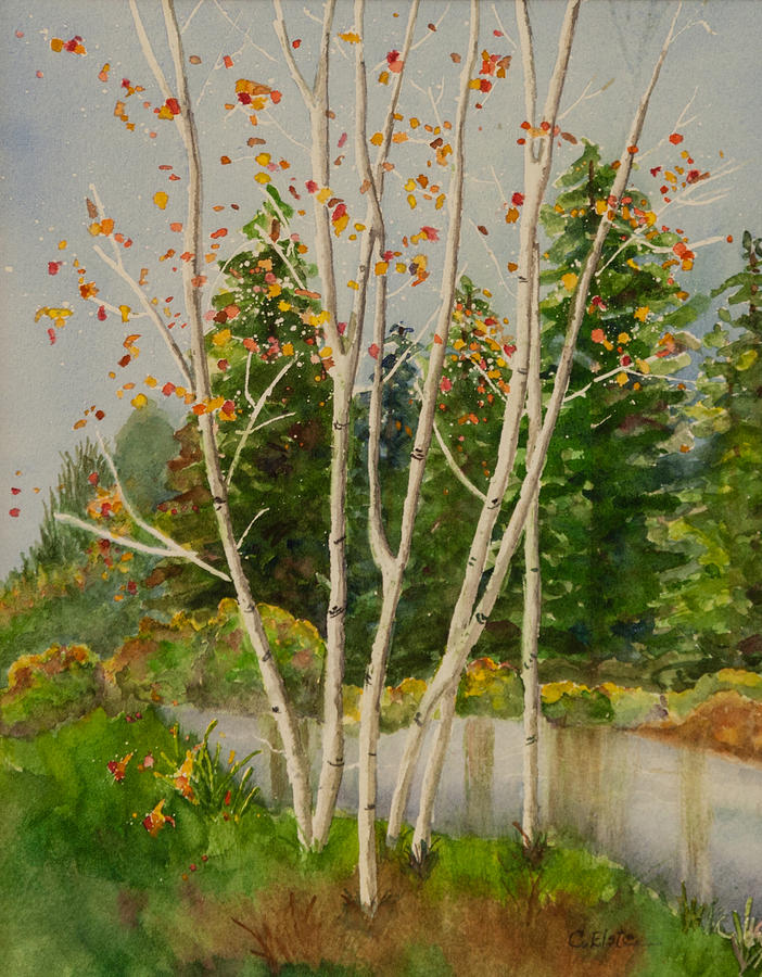 Nature Painting - Fall Aspens by Connie Elste