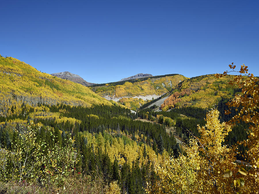 Fall aspens in San Juan County in Colorado Photograph by Carol M Highsmith