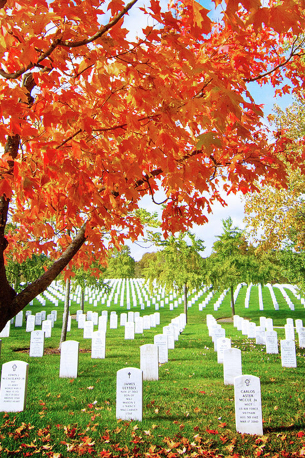 Fall at Arlington National Cemetery Photograph by Mark Andrew Thomas