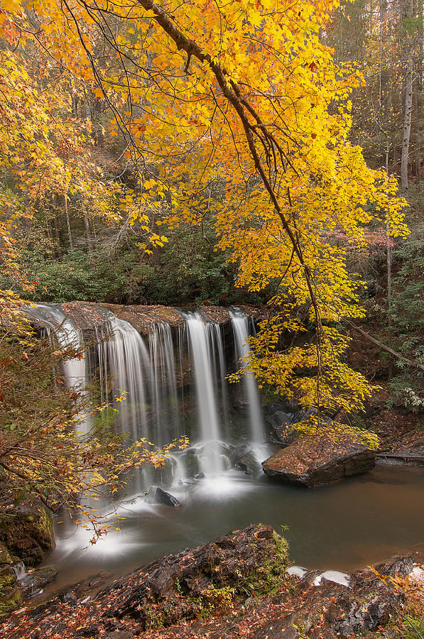 Waterfall Photograph - Fall at Brasstown Falls  by Derek Thornton