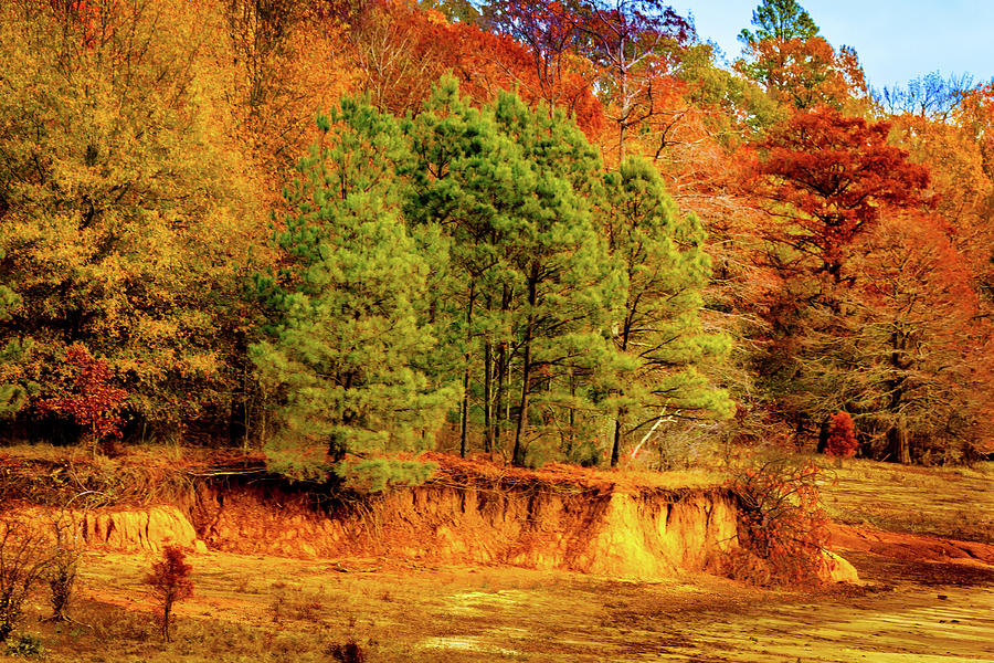 Fall Photograph - Fall At Chickasaw Hill by Barry Jones