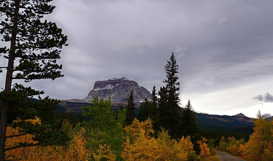 Fall at Chief Mountain, Northside Photograph by Tracey Vivar