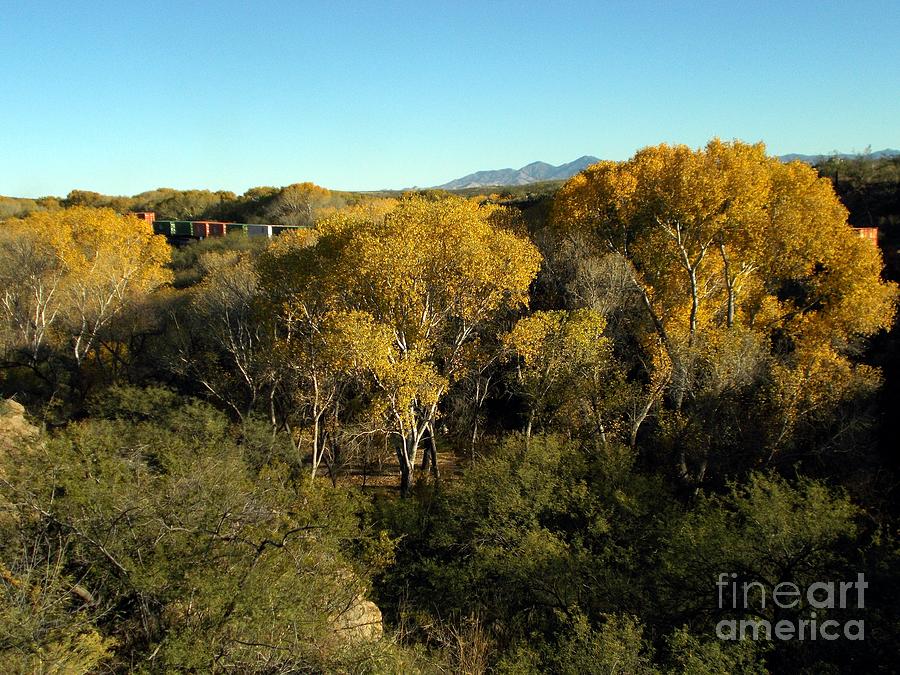 Fall at Cienega Preserve Photograph by Jerry Bokowski Fine Art America