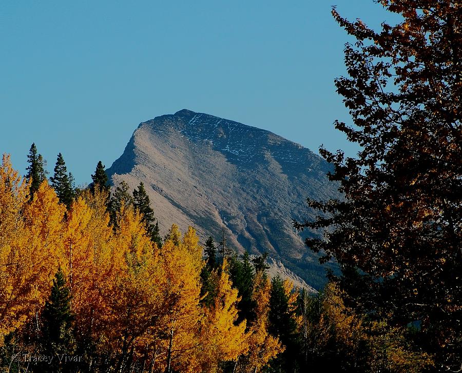 Fall at  Divide Mountain Photograph by Tracey Vivar