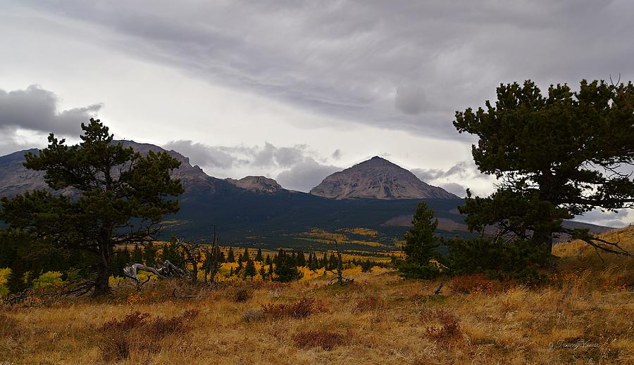 Fall at Divide Mountain With Bristle-cone Pines Photograph by Tracey Vivar