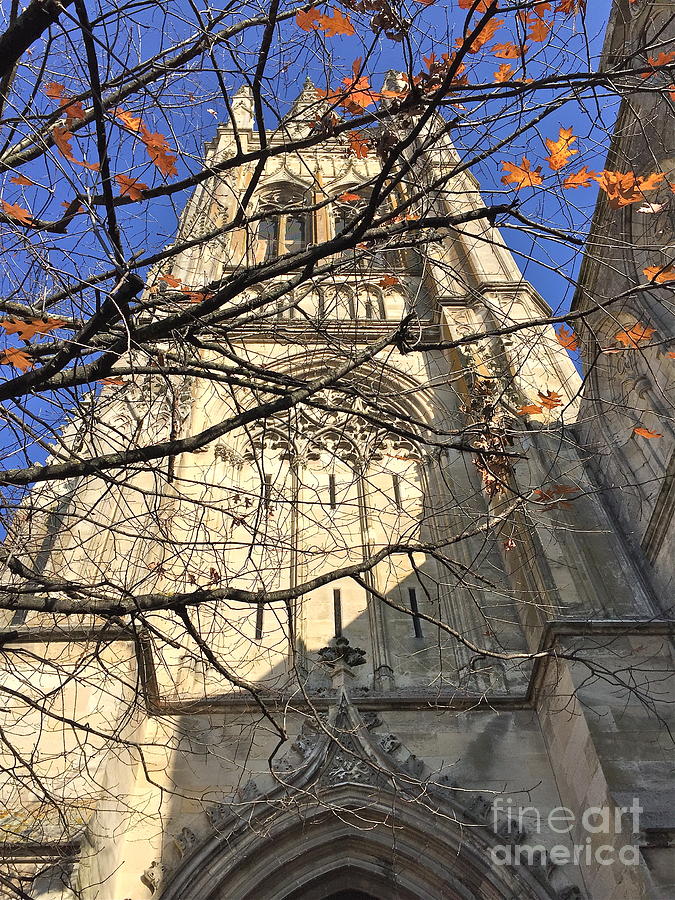 Fall at French Cathedral Photograph by Barbara Plattenburg