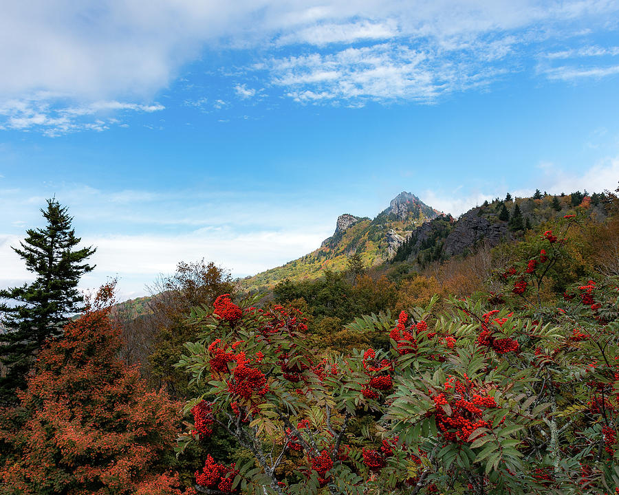 Fall At Grandfather Mountain Photograph by Steve Hurt