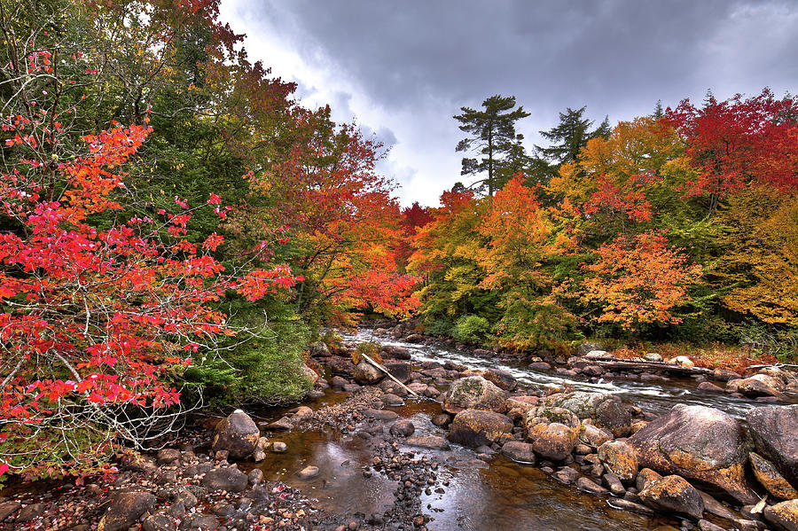 Fall at Indian Rapids Photograph by David Patterson