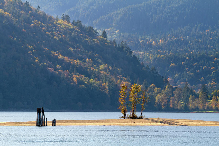 Fall at Kilby Provincial Park Photograph by Michael Russell