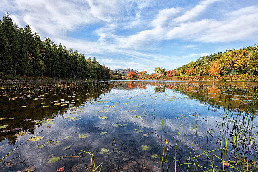 Fall at Little Long Pond Photograph by Dennis Kowalewski
