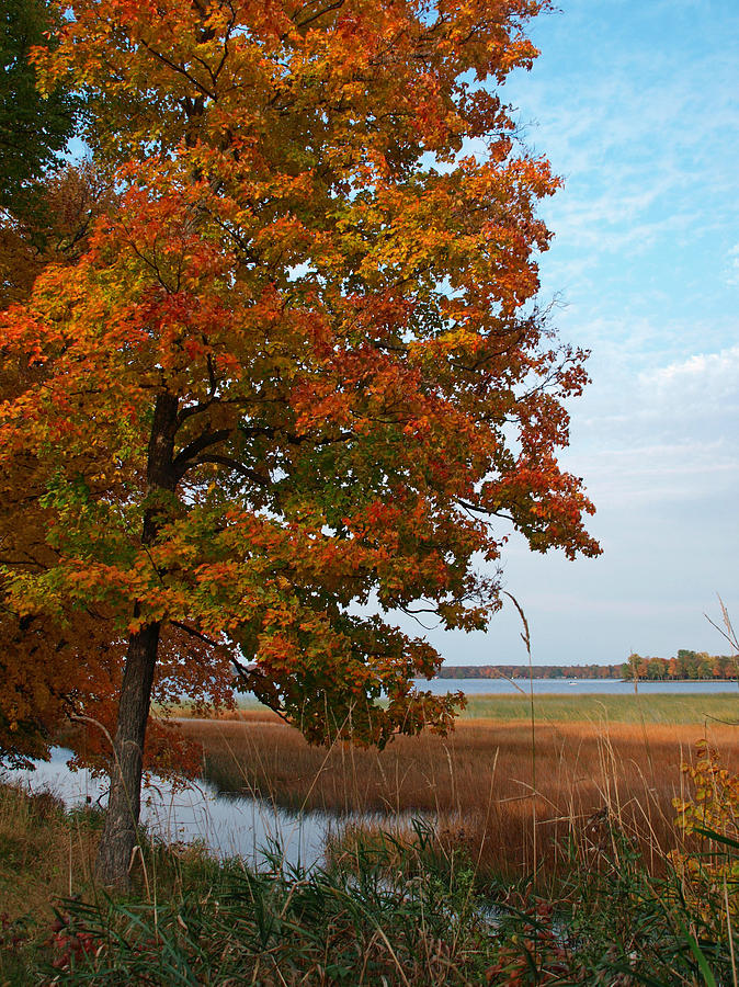 Fall at Mille Lacs Photograph by James Peterson