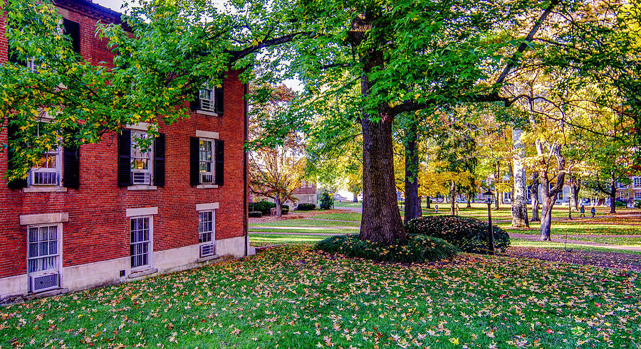 Ohio University Autumn Leaves Photograph by Robert Powell - Fine Art ...