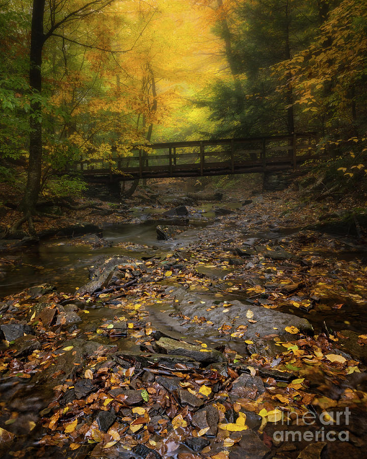 Fall at Ricketts Glen Photograph by Jerry Fornarotto