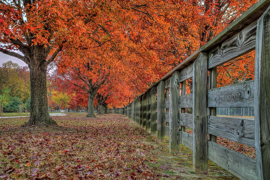 Fall at Riverview Park Photograph by Jerry Gammon