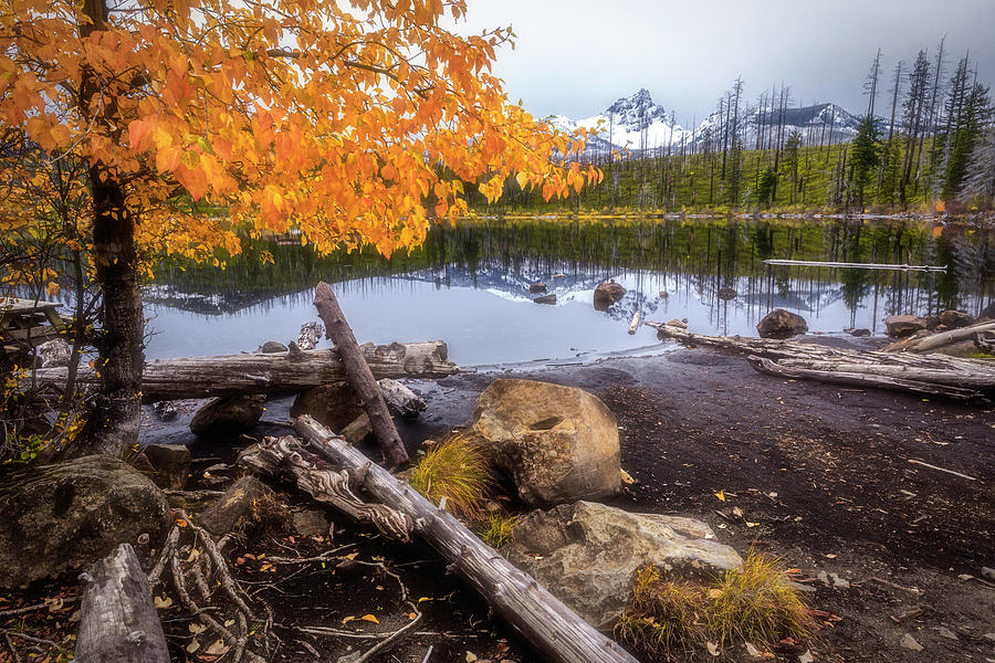 Fall at Round Lake Photograph by Cat Connor