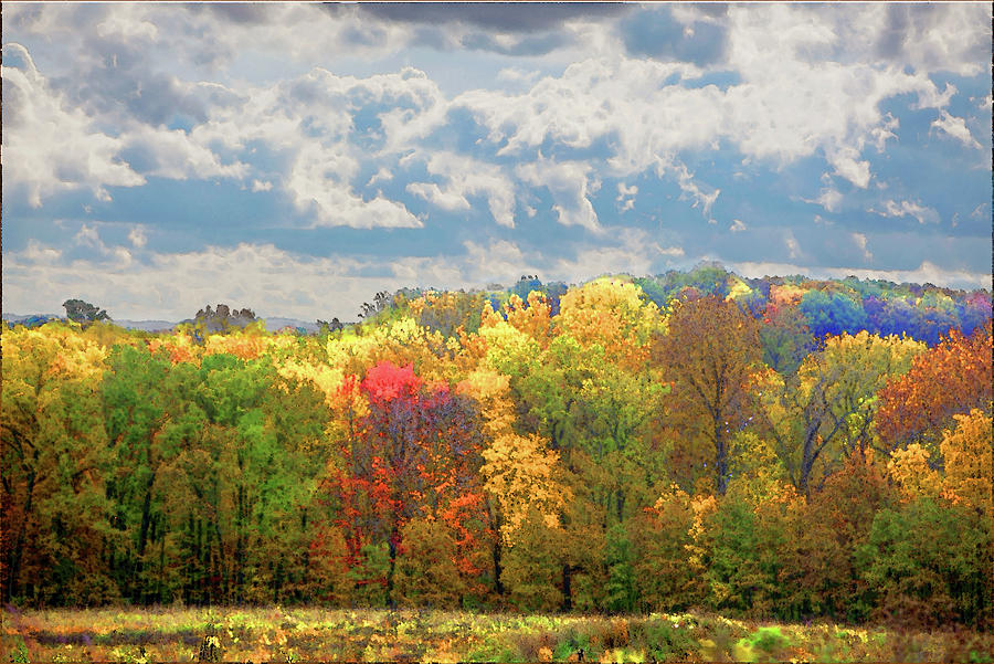 Fall at Shaw Photograph by David Coblitz