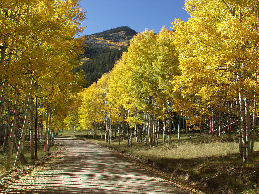 Fall at Stunner Pass Colorado Photograph by Bill Hyde