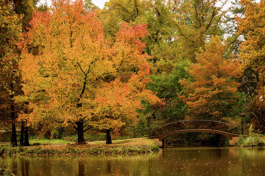Fall at the Arboretum Photograph by Jay Stockhaus
