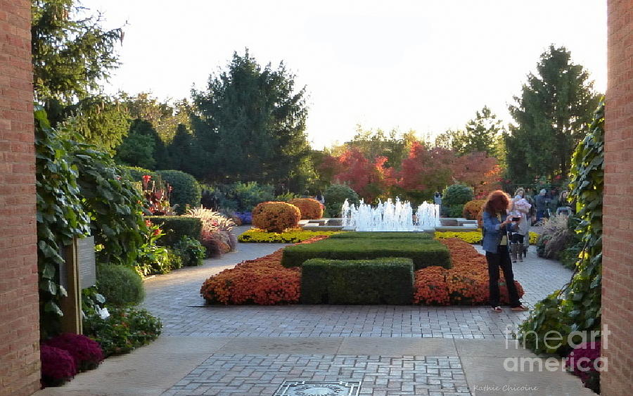Fall at the Botanic Photograph by Kathie Chicoine
