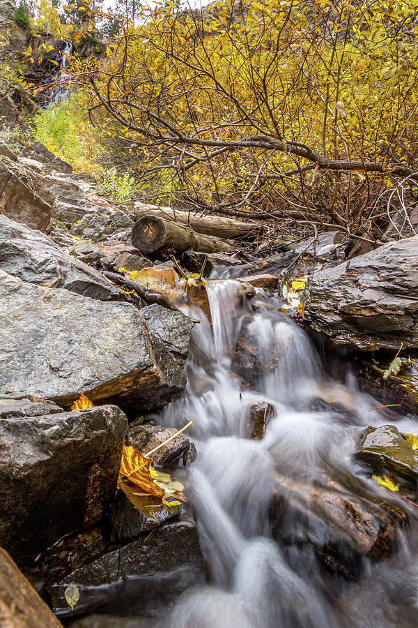 Fall at the Falls Photograph by Diane Mintle