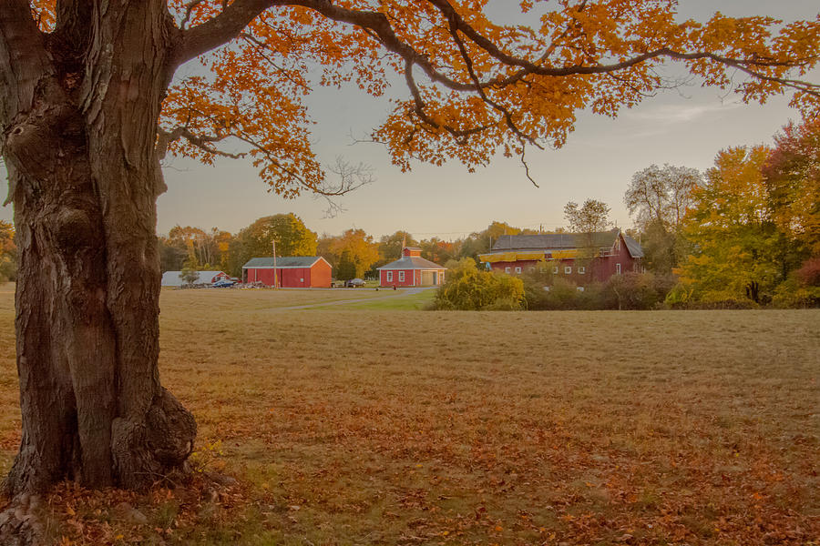 Fall at the Farm Photograph by Brian MacLean
