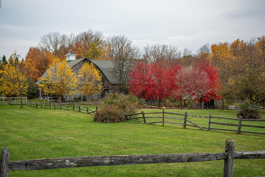 Barn Photograph - Fall At The Farm by Guy Whiteley
