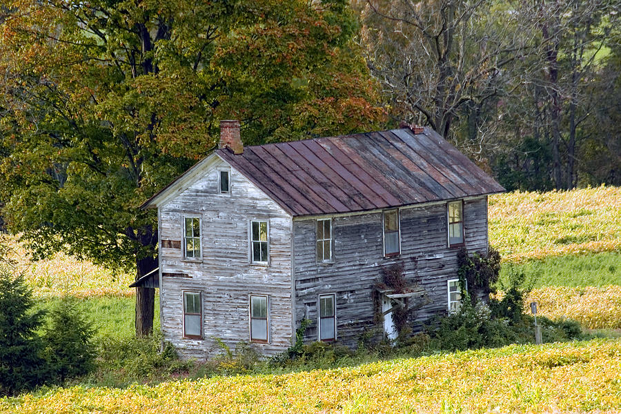 Fall At The Forgotten Farmhouse Photograph by Gene Walls