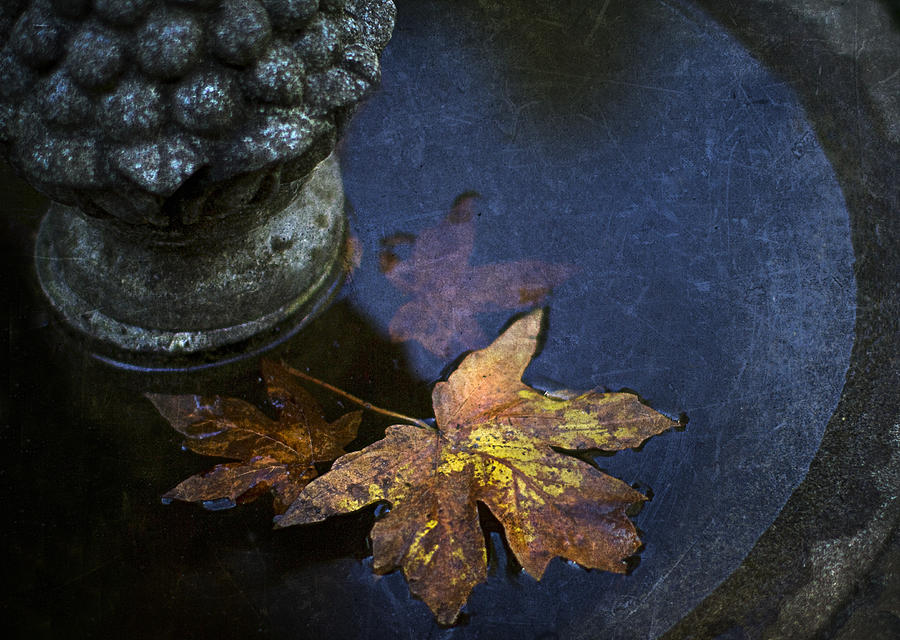 Fall At The Fountain Photograph by Rebecca Cozart
