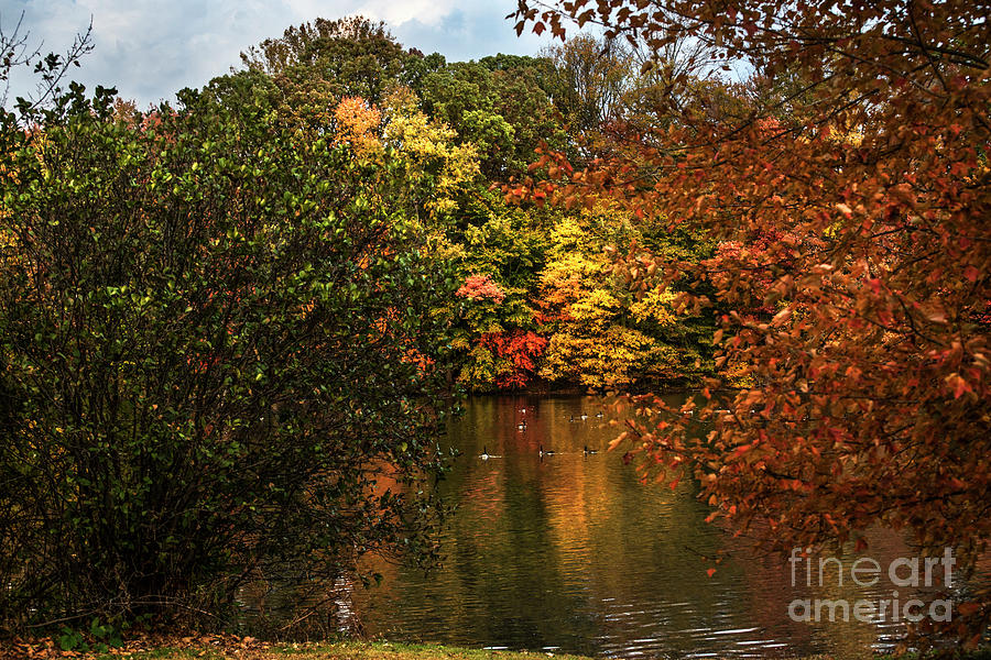 Fall At The Lake Photograph