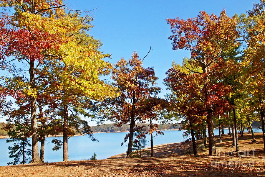 Fall at the Lake Photograph by Southern Photo