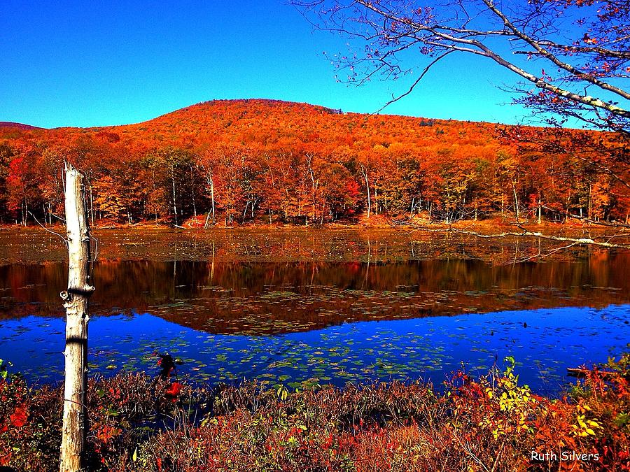 Fall at the lake Photograph by Ruth Silvers - Fine Art America