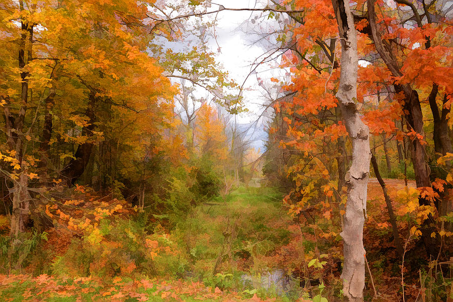 Fall At The Marsh Photograph by Ann Bridges