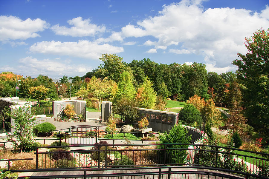 Fall at the North Carolina Arboretum Photograph by Jill Lang