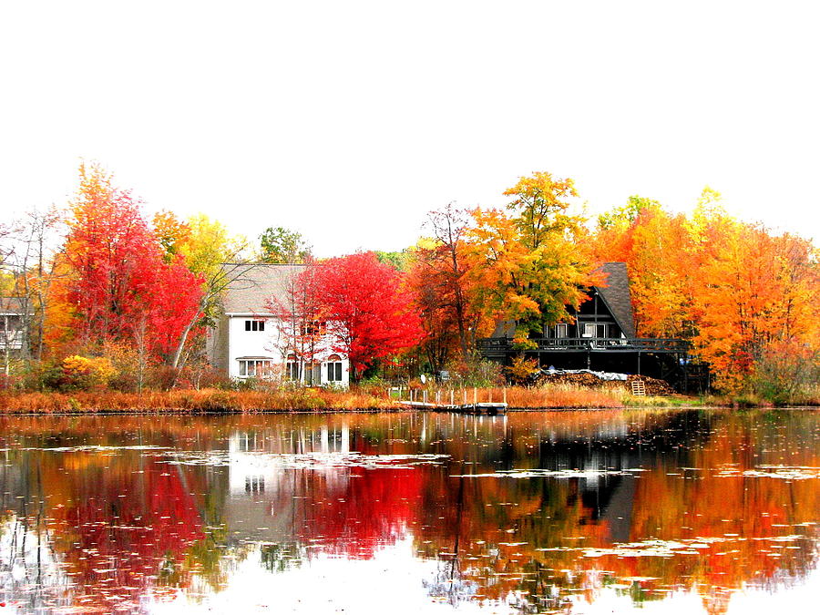 Fall at the pond Photograph by Charlene Reinauer