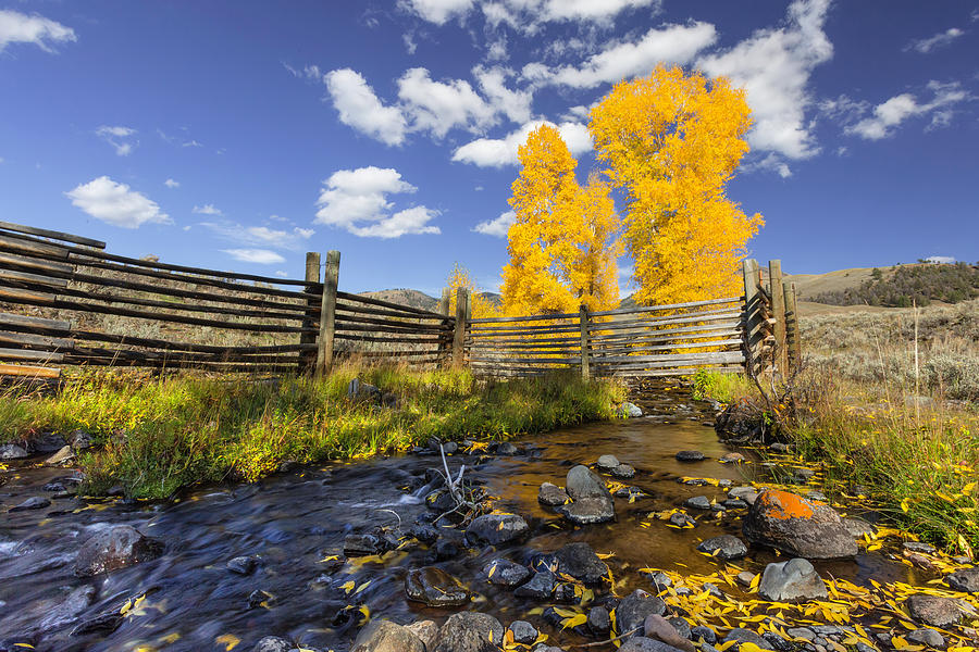 Fall at the Ranch Photograph by Jack Bell