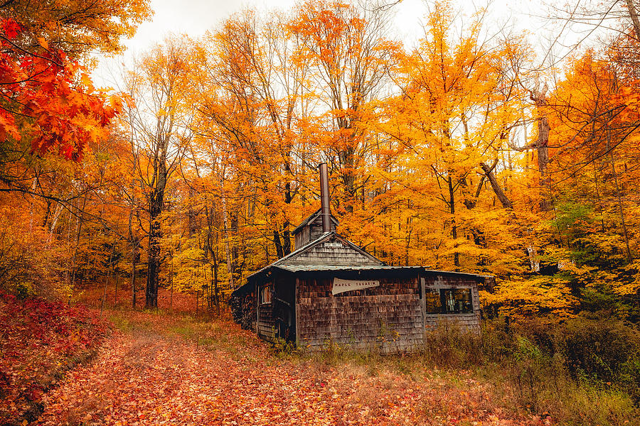 Fall Photograph - Fall At The Sugar House by Robert Clifford