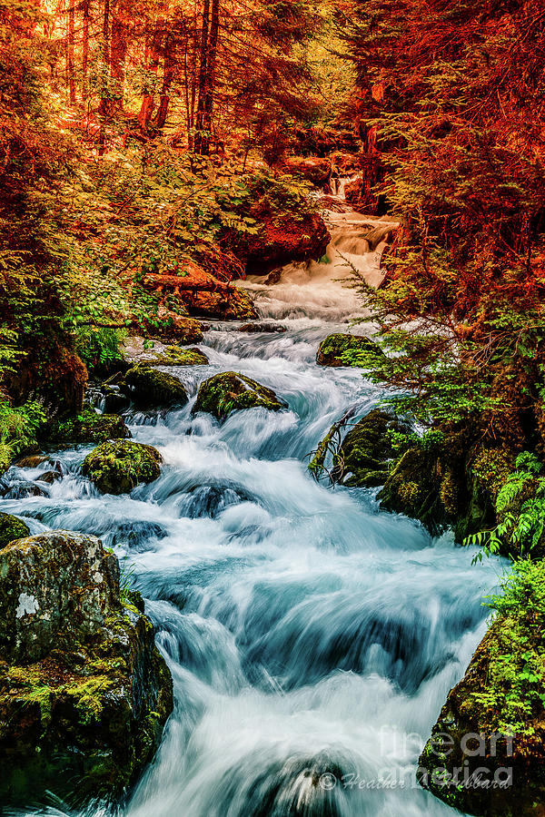 Fall at Virgin Creek Photograph by Heather Hubbard Fall at Virgin Creek Photograph by Heather Hubbard