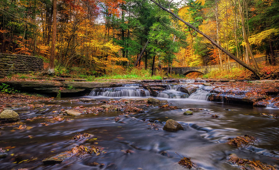 Fall At Wolf Creek Photograph by Mark Papke