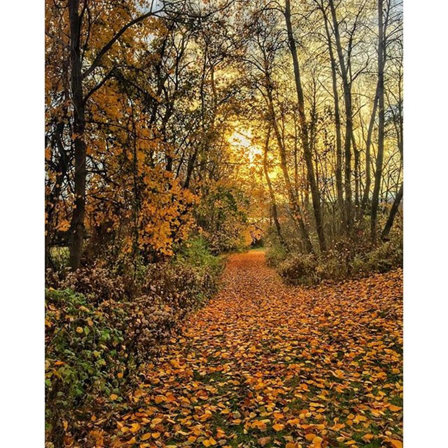 Nature Photograph - Autumnal Pathways by Blake Butler