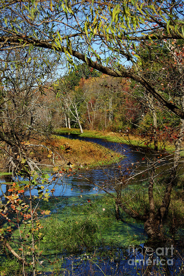 Fall Backwater Photograph by Skip Willits