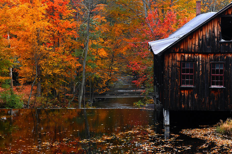 Fall Barn And River N Leverett Ma Photograph By Richard Danek