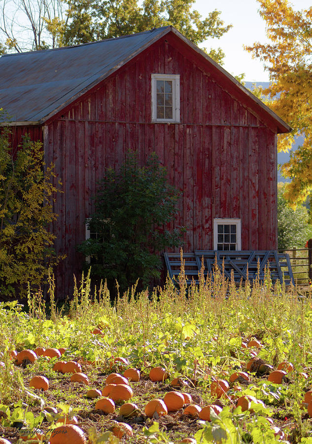 FAll Barn Photograph by Jennifer Myers - Fine Art America