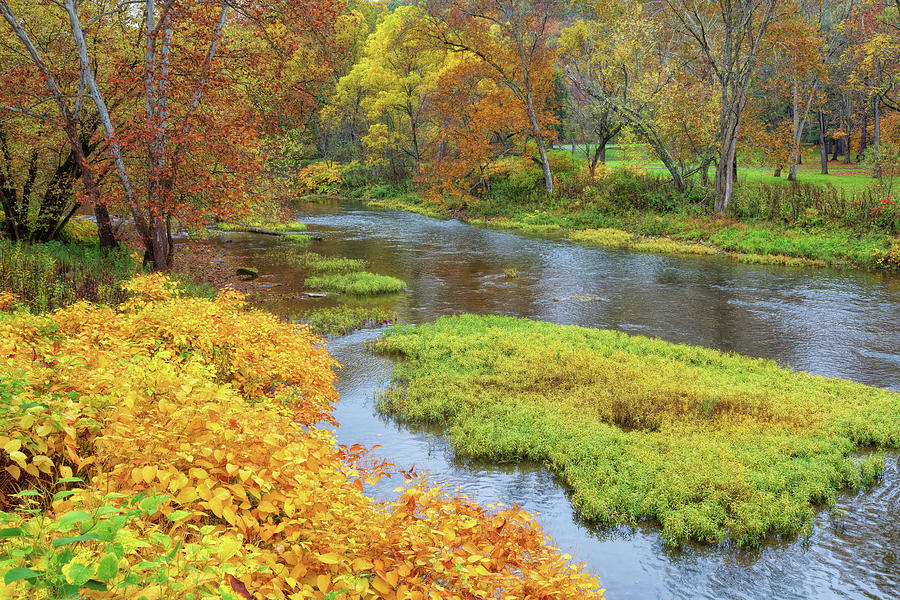 Fall Beauty at Beaver Creek Photograph by John M Bailey