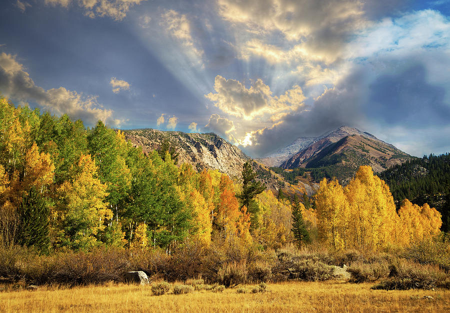 Fall Beauty at Surveyor's Meadow Photograph by Lynn Bauer | Fine Art ...