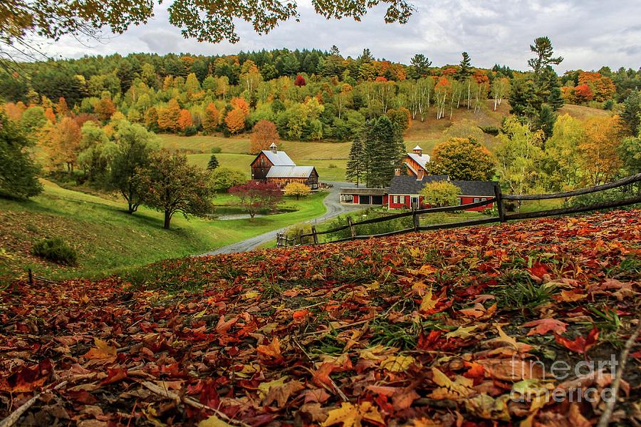 Fall Photograph - Fall Beauty in Vermont by JoeFar Photos