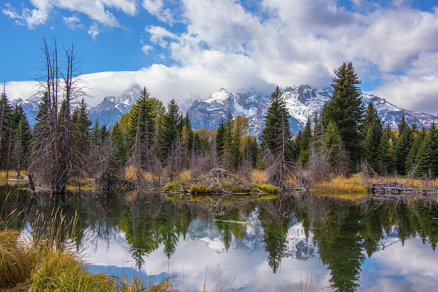 Fall Beauty Of Schwabachers Landing Photograph by Yeates Photography