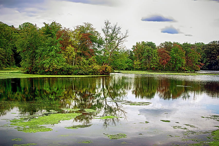 Fall Begins At Unicorn Lake Photograph by Brian Wallace